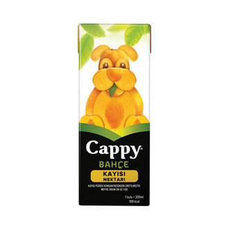 Cappy Kayısı Suyu