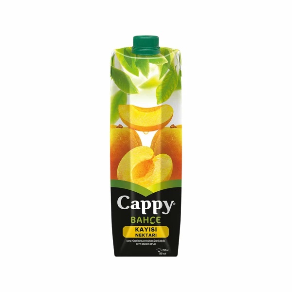 Cappy Kayısı Suyu